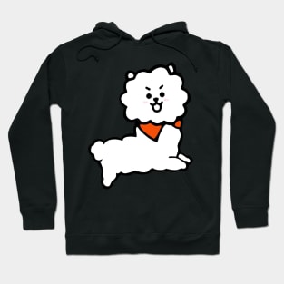 RJ Hoodie